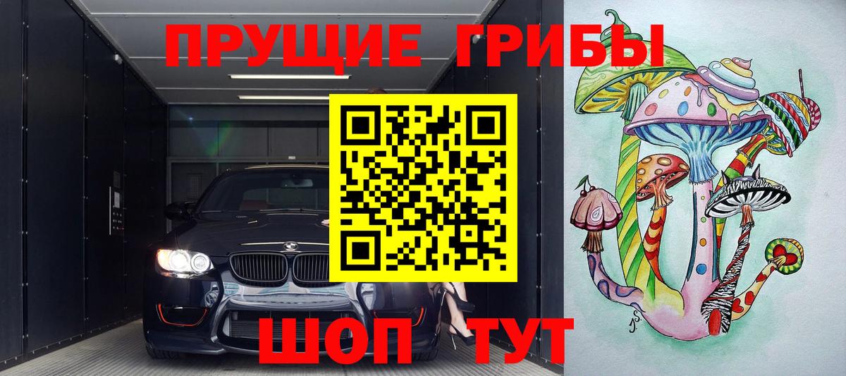 Псилоцибиновые грибы GOLDEN TEACHER  Галлюциногенные грибы Psilocybe  Вход с VPN  Урус-Мартан 